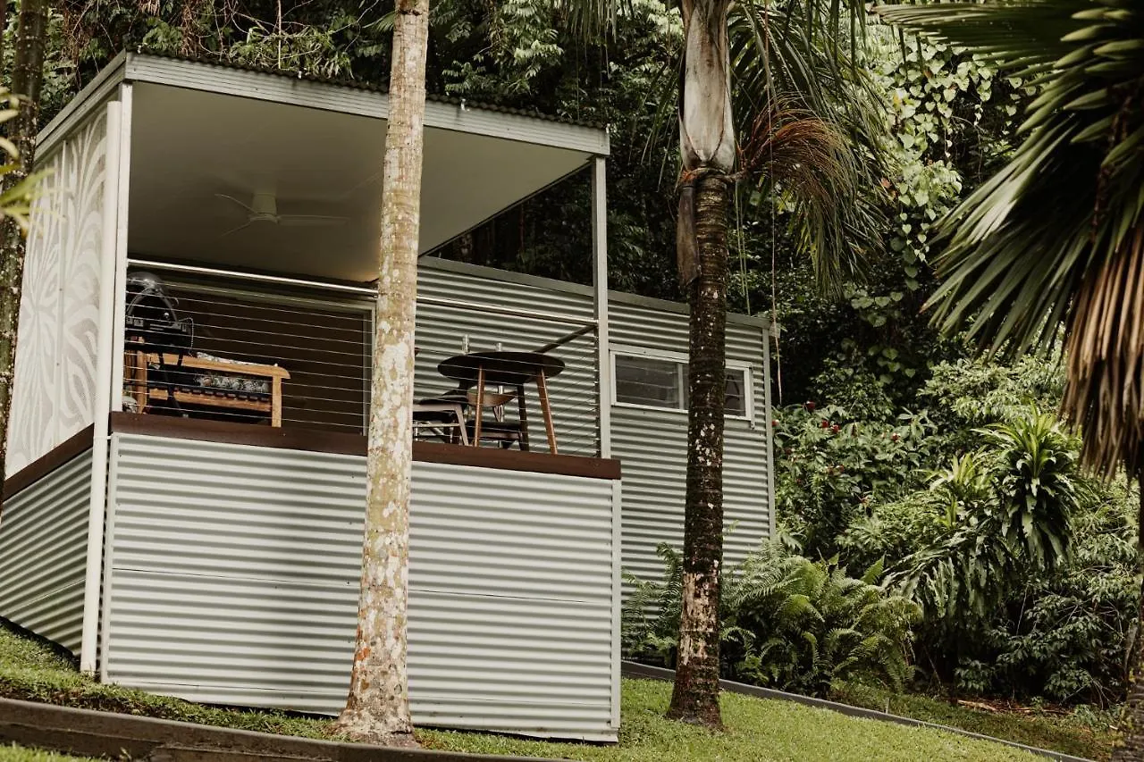 Mist At Cape Tribulation Villa Lodge