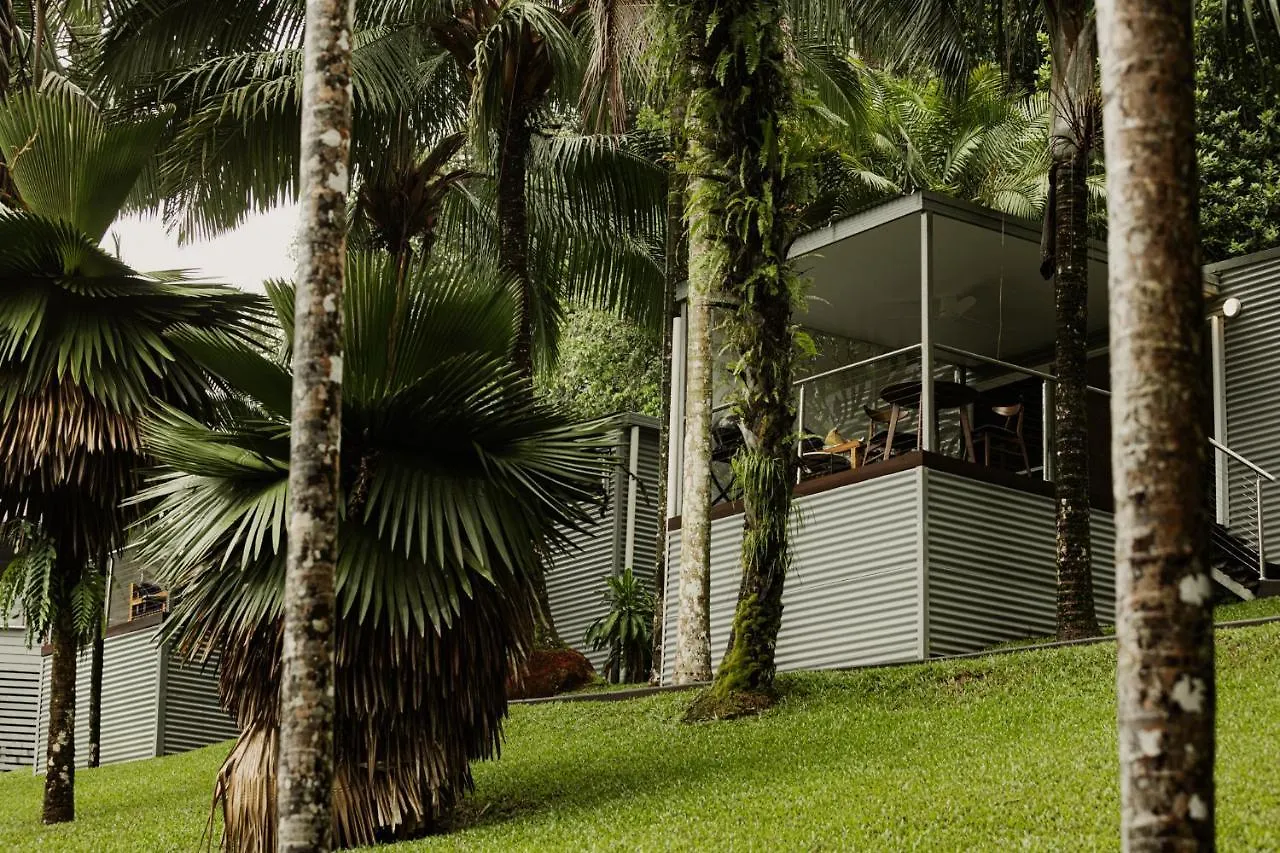 Mist At Cape Tribulation Villa